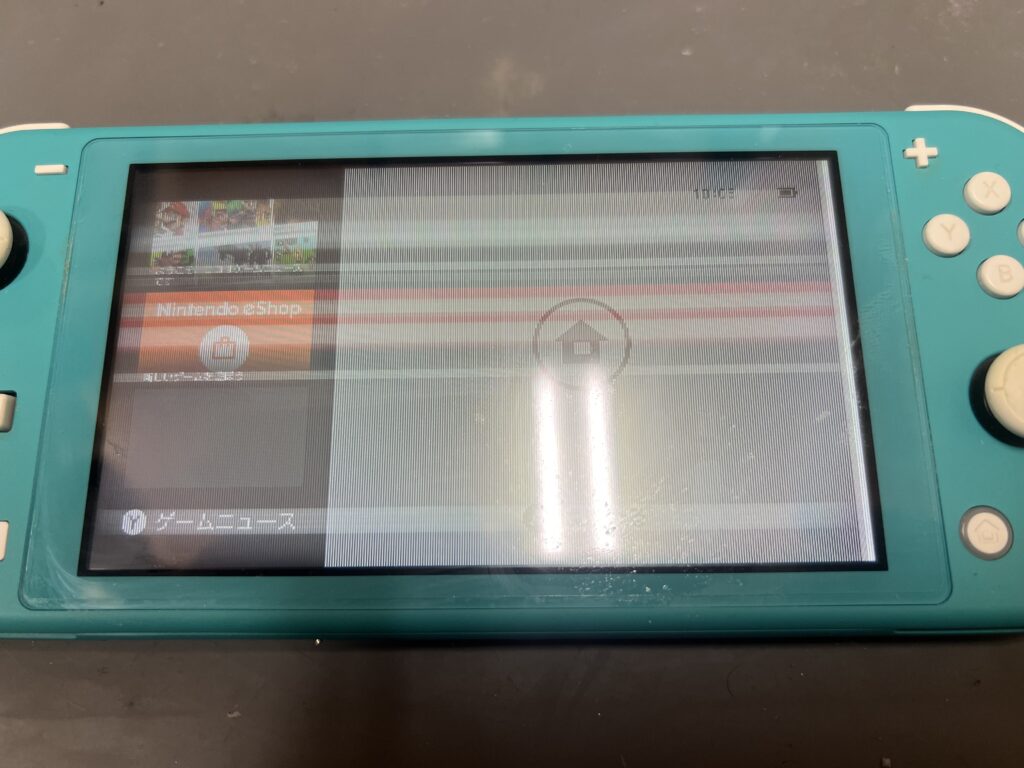switch lite