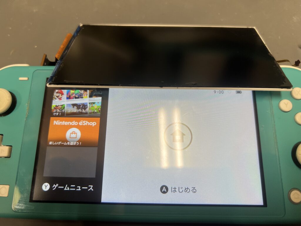 switch lite