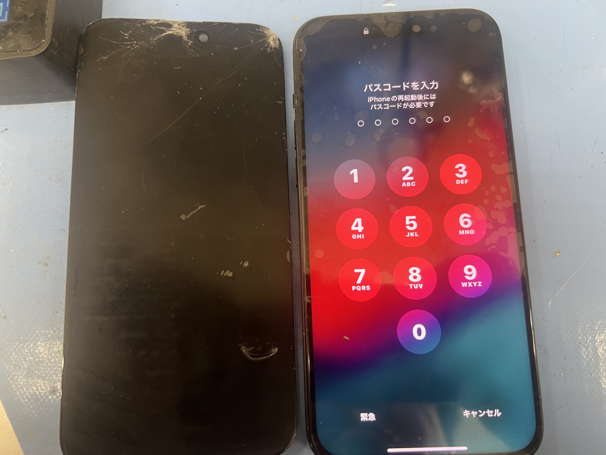 iPhone15Plus 画面修理【iphone 修理】