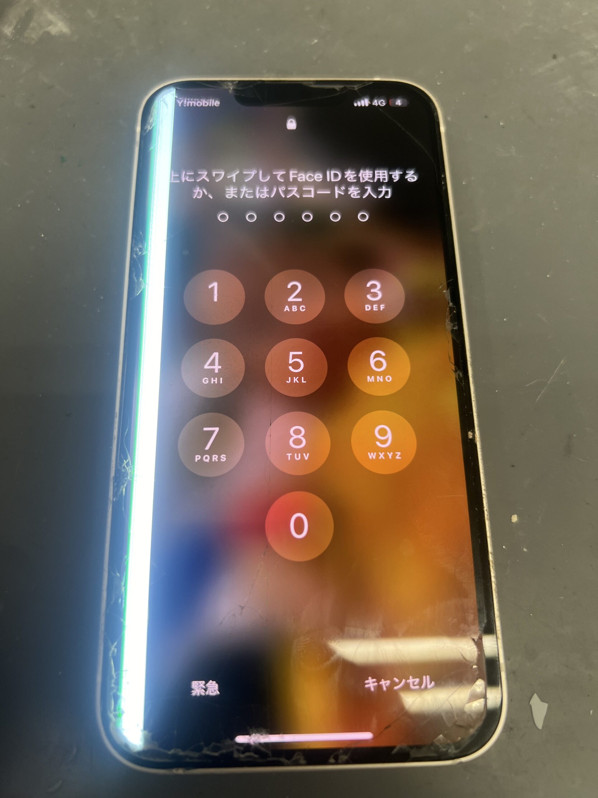 iPhone13画面修理【iphone 修理】